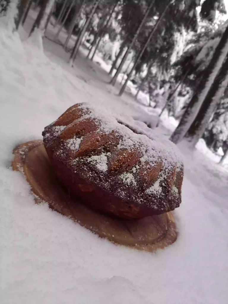 Ein Marmorkuchen im Schnee